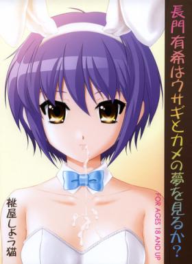 Lesbiansex Nagato Yuki wa Usagi to Kame no Yume o Miru ka? - The melancholy of haruhi suzumiya French Porn