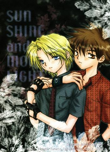 Large SUNSHINE and MOONLIGHT - Digimon adventure Brother Sister