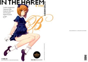 Freeporn IN THE HAREM B SIDE - The idolmaster Blows