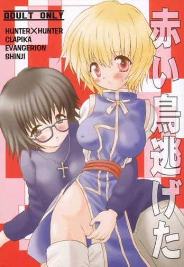 Assfuck Akai Tori Nigeta Neon Genesis Evangelion Hunter X Hunter Couple