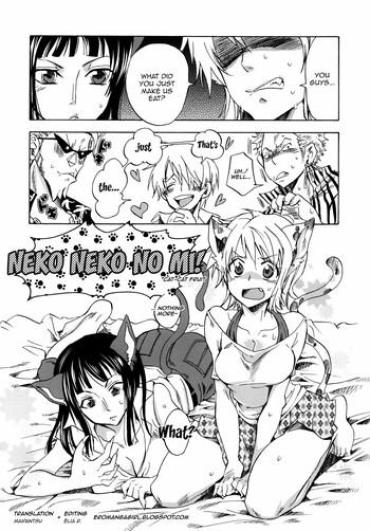 Infiel Neko Neko No Mi- One Piece Hentai Hardcore Sex