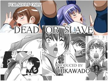 Handsome Dead or Slave - Dead or alive Reversecowgirl