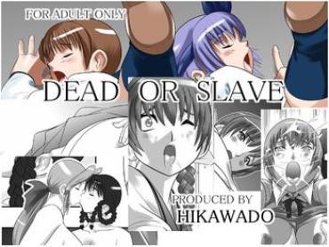 Gaydudes Dead or Slave- Dead or alive hentai Tit
