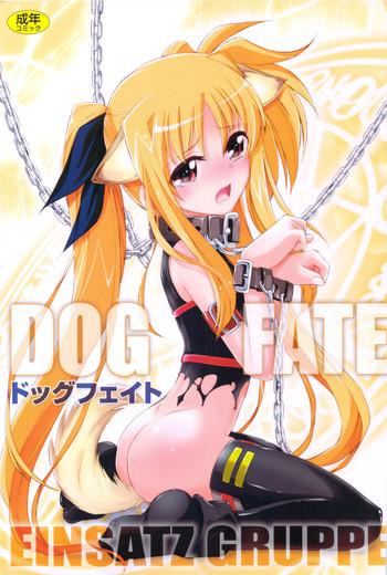Bulge DOG FATE - Mahou shoujo lyrical nanoha Insertion