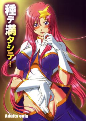 Breasts Tane de Mitashite... - Gundam seed destiny Oldvsyoung