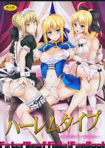 Interview Harem Type - Fate stay night Fate zero Fate extra Mulher