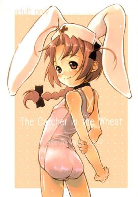 Family The Catcher in the Wheat - Nurse witch komugi Plug