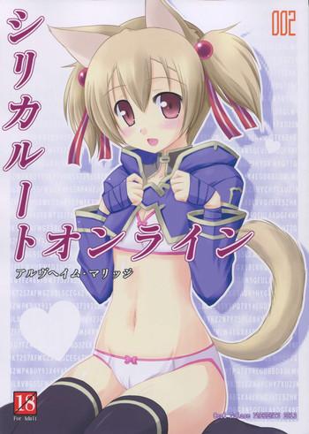 Officesex Silica Route Online 2 - Sword art online Interview