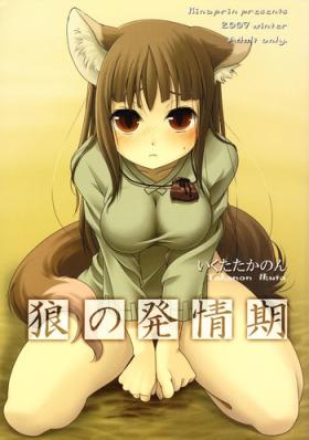 Buttfucking Ookami no Hatsujouki - Spice and wolf Tight Pussy