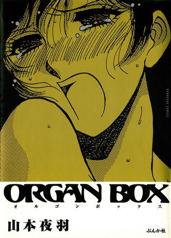 Brasileira ORGAN-BOX Gay Physicalexamination