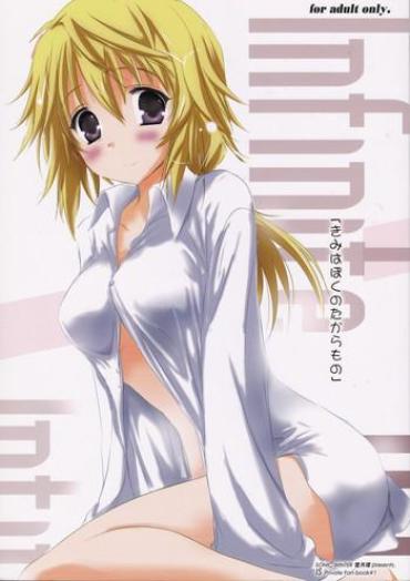 Sucking Dicks Kimi Wa Boku No Takaramono | You're My Treasure Infinite Stratos Negra