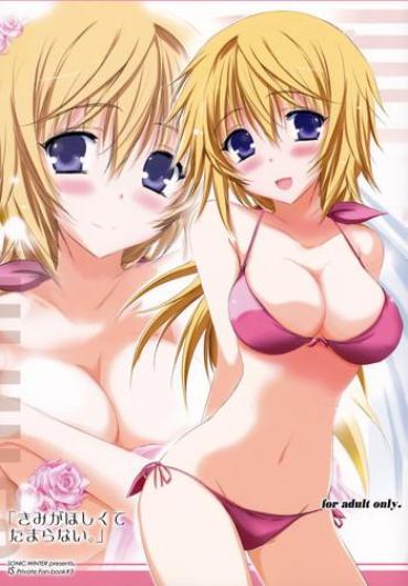 Class Kimi Ga Hoshikute Tamaranai. | Can't Stop Loving You Infinite Stratos BigAndReady