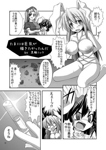 Speculum Udon-ge Manga - Touhou project Adult
