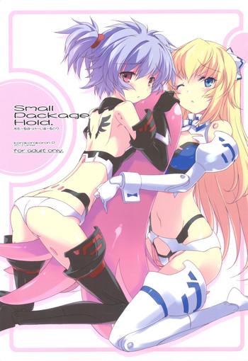 Car Small Package Hold. - Busou shinki Lolicon