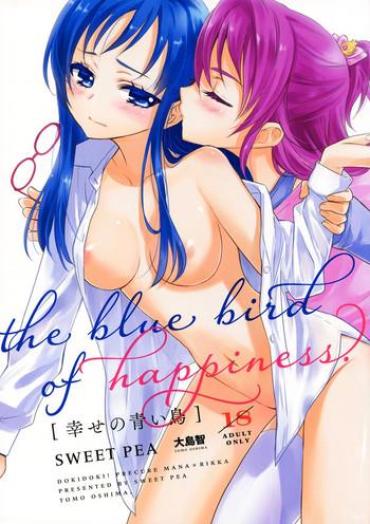 Shorts Shiawase No Aoi Tori - The Bluebird Of Happiness. Dokidoki Precure Grool